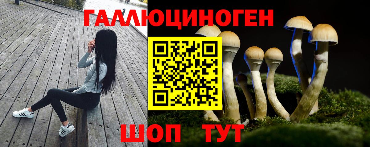 Новокубанск  Галлюциногенные грибы MAGIC MUSHROOMS  Вход с VPN 