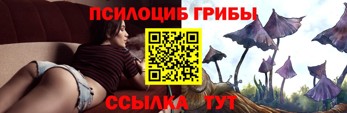 Галлюциногенные грибы GOLDEN TEACHER Новокубанск