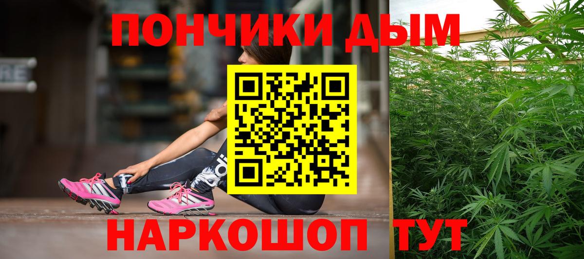 Шишки марихуана марихуана Новокубанск